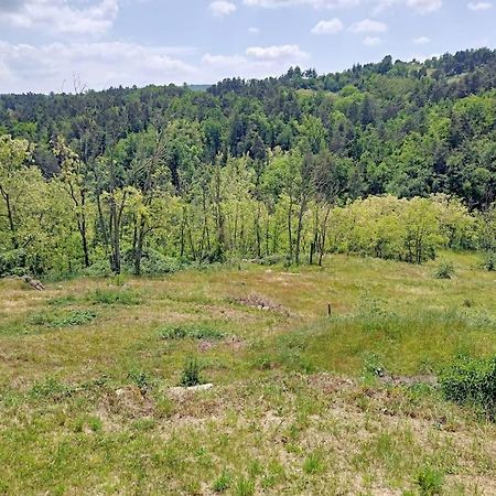 Ecrin De Verdure En Ardeche Verte Colombier-le-Vieux Ngoại thất bức ảnh