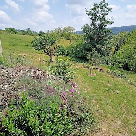 Ecrin De Verdure En Ardeche Verte Colombier-le-Vieux Ngoại thất bức ảnh