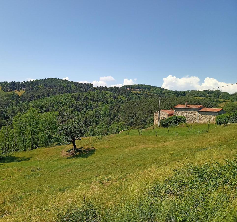 Ecrin De Verdure En Ardeche Verte Colombier-le-Vieux Ngoại thất bức ảnh