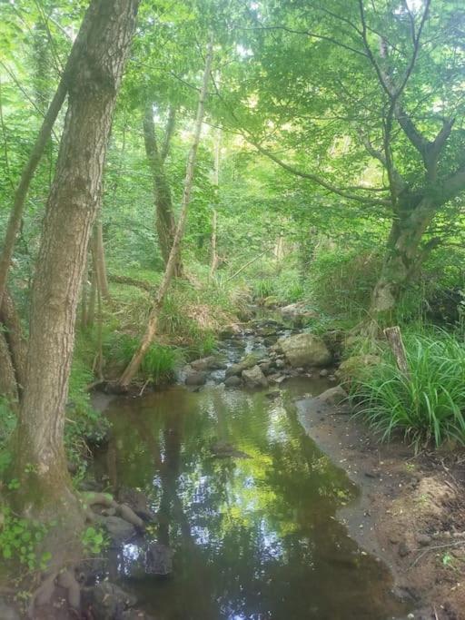 Ecrin De Verdure En Ardeche Verte Colombier-le-Vieux Ngoại thất bức ảnh