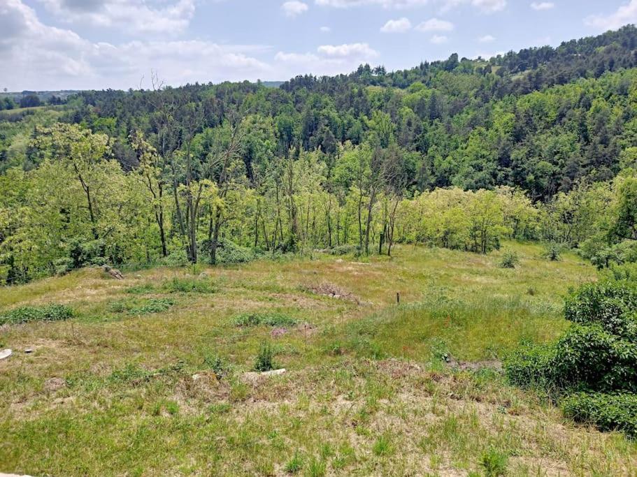 Ecrin De Verdure En Ardeche Verte Colombier-le-Vieux Ngoại thất bức ảnh