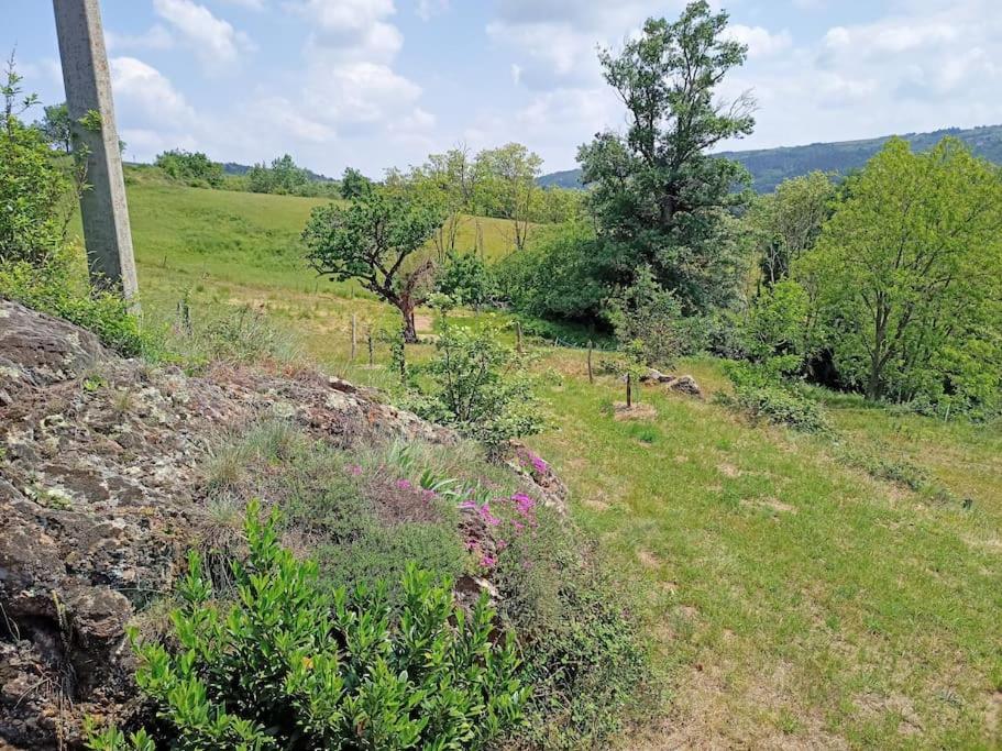 Ecrin De Verdure En Ardeche Verte Colombier-le-Vieux Ngoại thất bức ảnh